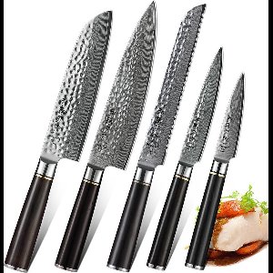 Luxe en Professionele 5-delige Keukenmessen-set van Damascus Staal (67 lagen, VG10) | HEZHEN B1Z Series | Vlijmscherpe Damascus Stalen Lemmeten | Handvat van Ebbenhout | Koksmes + Broodmes + Santokumes + Groentemes + Schilmes