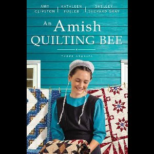 An Amish Quilting Bee