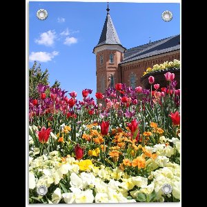 Tuinposter – Mooi Veld met Gekleurde Bloemen met een Mooi Kasteel op de Achtergrond - 30x40cm Foto op Tuinposter  (wanddecoratie voor buiten en binnen)