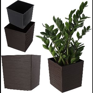 KADAX Bloempot van kunststof, weerbestendige tuinpot voor balkon, terras, binnen, lichte pot met inzet, plantenpot, bloembak, bruin, hoogte: 25 cm