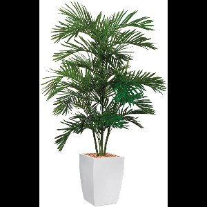 HTT - Kunstplant Areca palm in Genesis vierkant wit H170 cm