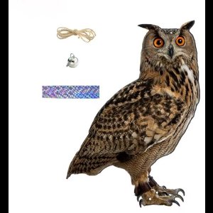 Duurzame Vogel afschrikkende Uil - Effectieve Vogelbeschermer met Bel voor Tuin en Fruitboomgaard