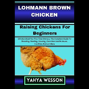 LOHMANN BROWN CHICKEN Raising Chickens For Beginners