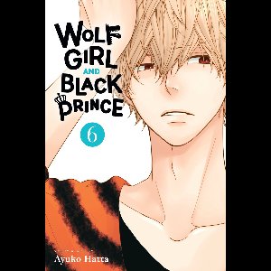 Wolf Girl and Black Prince 6 - Wolf Girl and Black Prince, Vol. 6