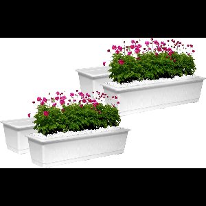 Geli Plantenbak kunststof - Set van 4x stuks - wit - L60 x B17,5 x H14,5 cm - Bloembakken/plantenbakken voor binnen/buiten