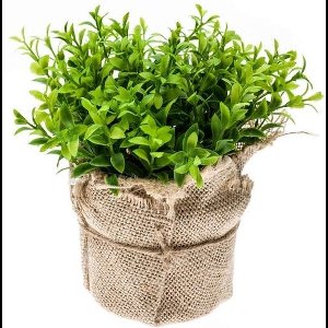 2x Kunstplanten tuinkers kruiden groen in potje van 16 cm