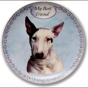 Wandbord My Best Friend, Bull Terrier, hondenkop, kado , bord op standaard