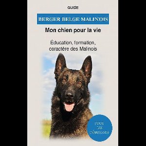 Berger Belge Malinois