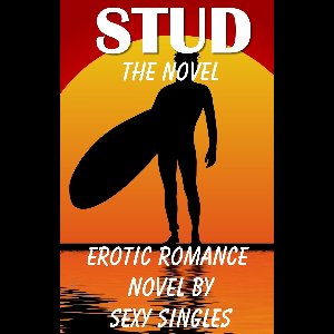 Stud ~ The Novel