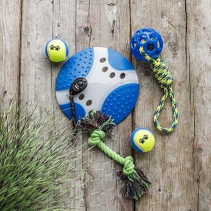 Honden speelgoedset - 6 delig