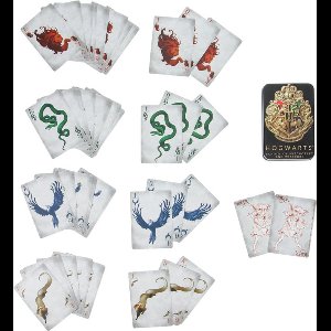 Harry Potter - Zweinstein Speelkaarten met Opbergdoos