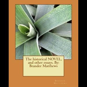 The historical NOVEL, and other essays. By