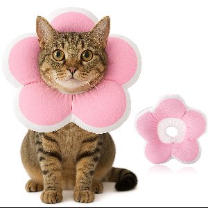 MAGICSHE Katten Halsband - Verstelbare Beschermkraag Kat - Zachte Kattenkraag Voor Nazorg - Herstelhalsband Voor Kittens En Kleine Honden Roze L