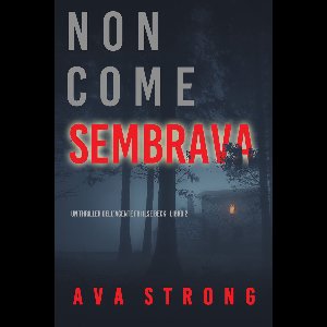 Un thriller dell’Agente FBI Ilse Beck 2 - Non come sembrava (Un thriller dell’Agente FBI Ilse Beck—Libro 2)