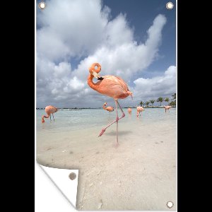 Tuinposter - Tuindoek - Tuinposters buiten - Een flamingo staat op één poot in het water - 80x120 cm - Tuin
