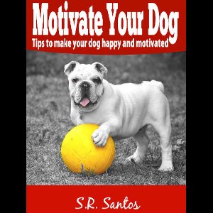 Motivate Your Dog - Tips to Make Your Dog Happy And Motivated