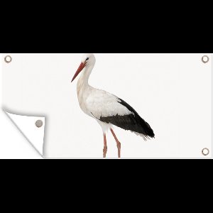 Tuinposter Ooievaar - Vogel - Dieren - Jongens - Kinderen - Meisjes - 60x30 cm - Tuindoek - Buitenposter