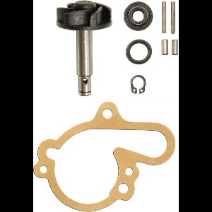 Sifam Waterpomp voor Rieju 50 RR Castrol Motorfietsen 2001 tot 2007 Nieuw