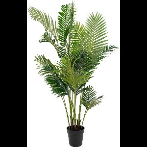 House Nordic Arecapalm Kunstplant H175 cm