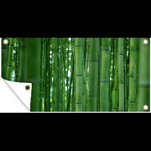 Schuttingposter Het Bamboebos van Arashiyama van dichtbij - 200x100 cm - Tuindoek