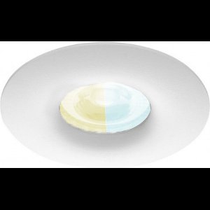 Inbouwspot Wilgot met Philips HUE White Ambiance - voor badkamer / overkapping / buiten - inbouw spot - Wit - rond - IP65 - GU10 - Buitendiameter: 82MM - boorgat: 70-75MM - min. Inbouwdiepte: 70MM