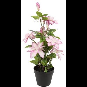 Countryfield Kunstplant Clematis Roze - 20 x 20 x 58 cm