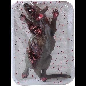 FIESTAS GUIRCA, S.L. - Rattentray in tray 19 x 12 cm