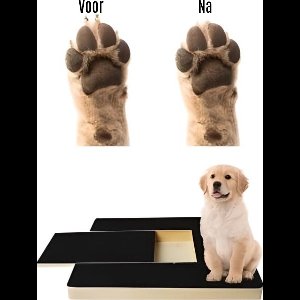 BlueTime - Krabplank Hond - Honden Krab Plank - Hondenkrabplank - Krabplanken - Krapplank- Nagelknipper - Nagelvijl - Traktatie Box - Anti Stress Hond - Krapplank - Liggende Variant