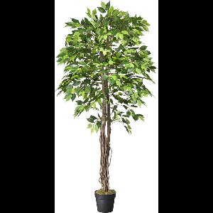 Kunstplant Ficus groen H180 cm - HTT Decorations kunstplanten