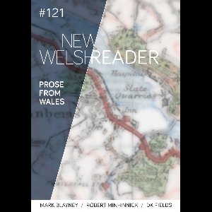 New Welsh Review 21 - New Welsh Reader 121