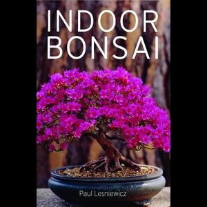 Indoor Bonsai