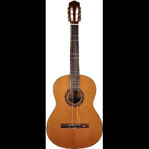 Klassieke gitaar 4/4 Salvador Cortez Student Series CC-15