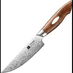 Xinzuo Steakmes van 110-laags Damascus staal - Ongeëvenaarde scherpte en Uniek design - mooie giftbox / bewaardoos - handvat van Woestijnijzerhout - Xinzuo B46D Series