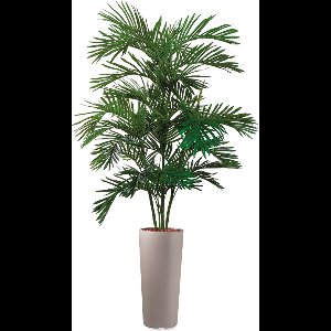 HTT - Kunstplant Areca palm in Clou rond taupe H195 cm