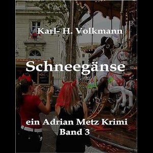 ein Adrian Metz Krimi - Band 3 3 - Schneegänse