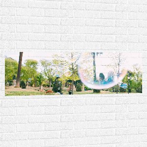 WallClassics - Muursticker - Park met Palmbomen en Bellenblaas - 120x40 cm Foto op Muursticker