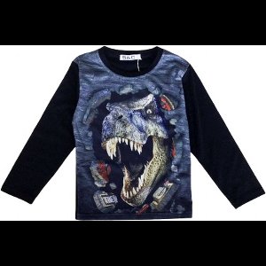 Kinder longsleeve trui met dino print | Dinosaurus full color print | T-Rex | Kleur Zwart | Maat 146/152 | sweatshirt | Zeer mooi!