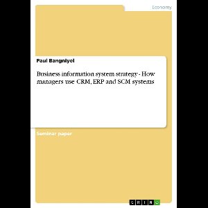 Business information system strategy - How managers use CRM, ERP and SCM systems