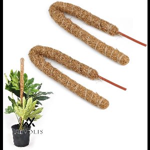 Nevolis 60 cm kokosstokken 2 stuks buigbaar plantenstok mosstok klimhulp plantenstaaf bloemenstok voor klimplanten .