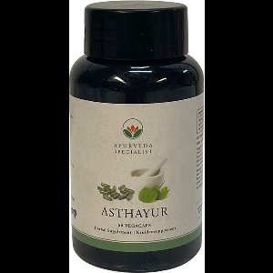 Ayurveda Specialist - Asthayur – 500 mg - Supplement