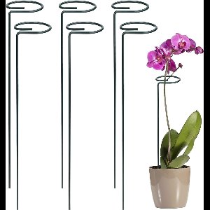 6x Plantensteunen 40 cm – Stevige Staalringen met Coating voor Rozen, Orchideeën & Bloemen
