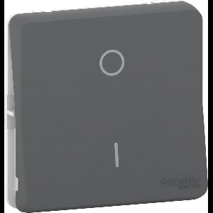 Tweepolige schakelaar - Modulair - Antraciet - Mureva Styl - Schneider Electric - MUR35034