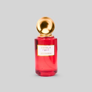 Ozysworld - Brasilia - Capitale - Unisex - Unisexparfum - Extrait de Parfum - 50ML