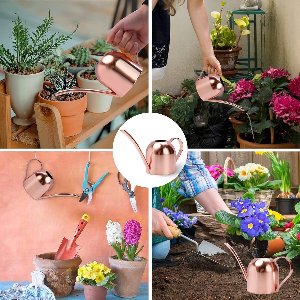 Stunq® 450 ml Gieter Kleine Kamerplanten, Mini Gieter van Metaal met Lange Tuit voor Kleine Kamerplanten in Binnenruimtes, Geschikt voor Thuis, Kantoor en Vetplanten.