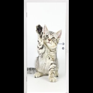 Deursticker Kitten - Poot - Wit - Meisjes - Kinderen - Jongens - Kind - 80x205 cm - Deurposter