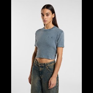 Dickies Plentywood T-shirt Met Korte Mouwen Grijs L Vrouw