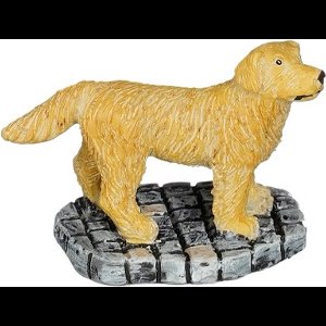 Luville - Golden Retriever