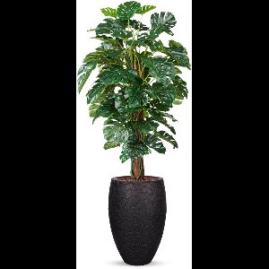 Kunstplant Monstera in vaas elegant Clay zwart H200 cm