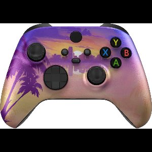 Clever Xbox Palm City Controller