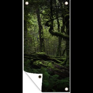 Tuinposter Donkere sprookjes jungle - 30x60 cm - Tuindoek - Buitenposter